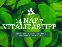 A Pécsimami új energiasorozata Csillával! Töltődj velünk Te is! A Pécsimami új energiasorozata Csillával! Töltődj velünk Te is!