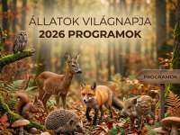 Mancsok, paták, szárnyak: Éljen az Állatok Hete! Mancsok, paták, szárnyak: Éljen az Állatok Hete!